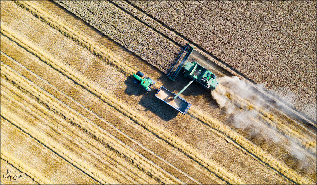 Working the Land - Mark Rivers